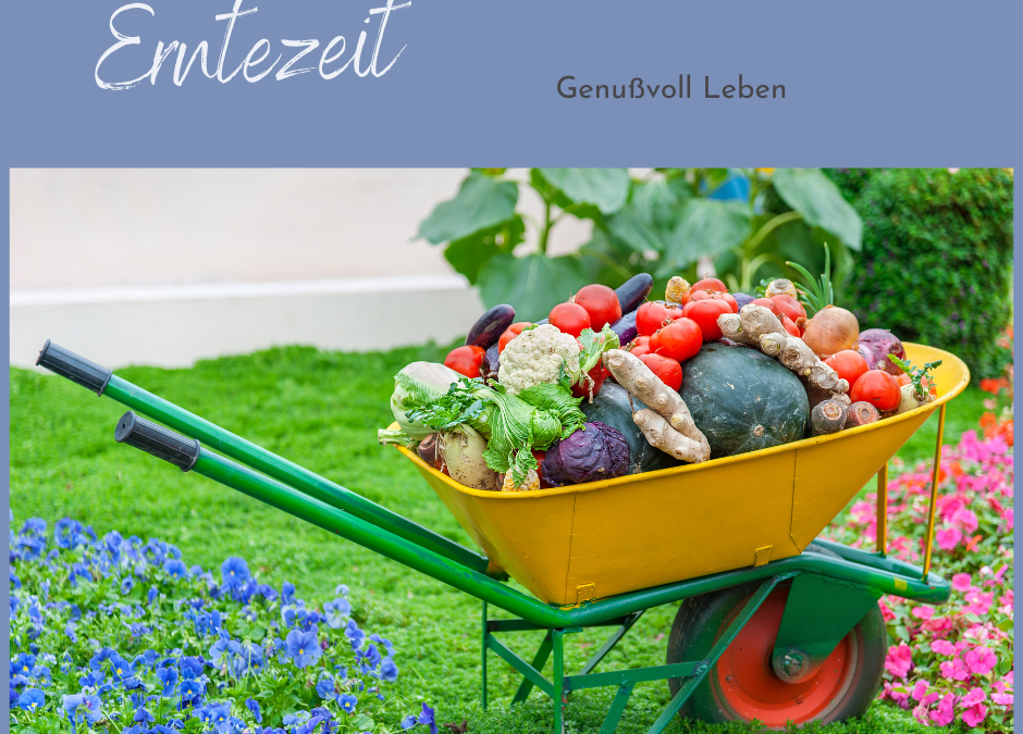 Erntezeit- Genuss